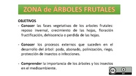 ZONA de ÁRBOLES FRUTALES