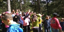 CERCEDILLA 4º PRIMARIA 2