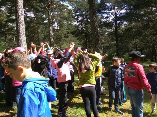 CERCEDILLA 4º PRIMARIA 2