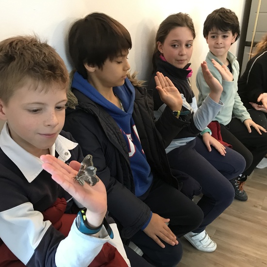 2020_02_27_3º visita Insectpark (4)_CEIP FDLR_Las Rozas 25