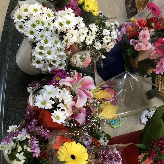 Flores a María - Educación Infantil 8