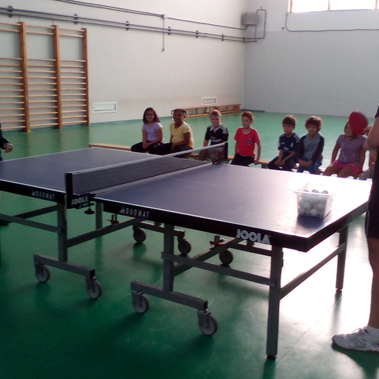 ping-pong 20