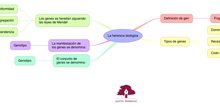 BIO_LA HERENCIA BIOLÓGICA_S4