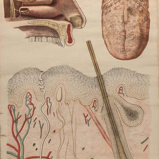 IES_RAMIRODEMAEZTU_BIOLOGIA_054