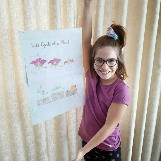 Noah Life Cycle plants