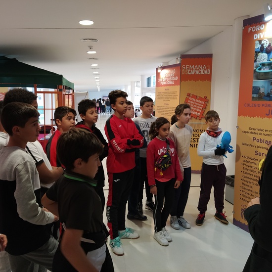 Diversidad funcional 3