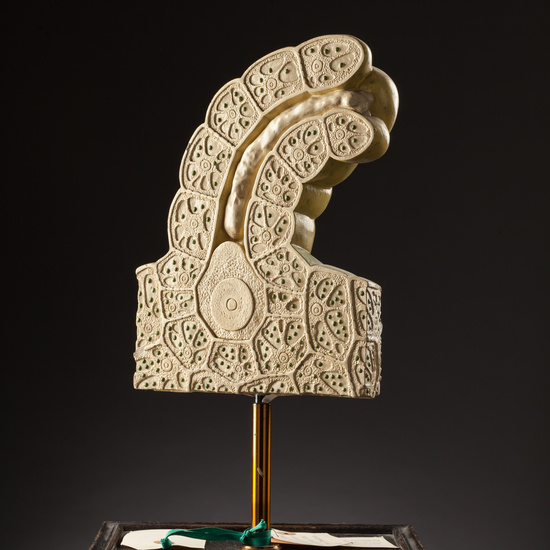 IES_SANISIDRO_BIOLOGIA_154