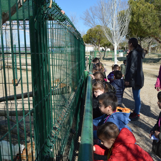 GRANJA ESCUELA ALBITANA 2018 7