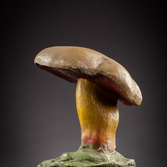 IES_SANISIDRO_MUSEO_Botanica_059