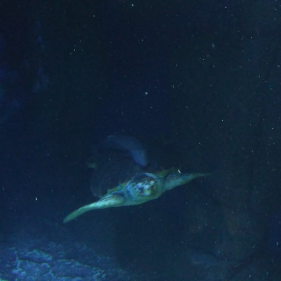 3ºE- Fotos Primer Trimestre 24