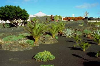 Jardines Fundación César Manrique