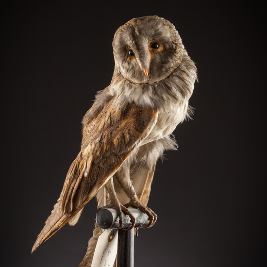 IES_SANISIDRO_BIOLOGIA_405