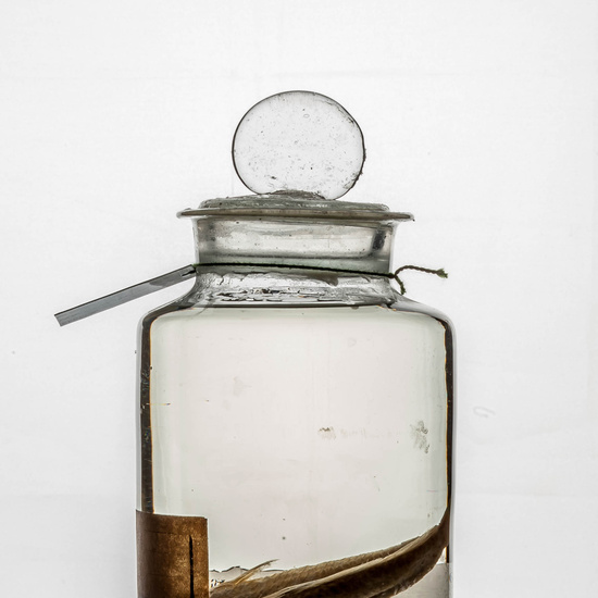 IES_CARDENALCISNEROS_CIENCIASNATURALES_399