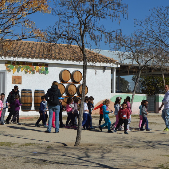GRANJA ESCUELA ALBITANA 2018 45