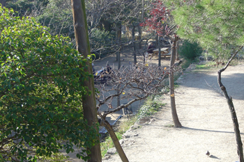 Zona de jardines, Parque Güell, Barcelona