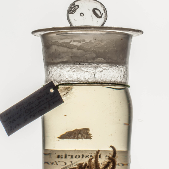 IES_CARDENALCISNEROS_CIENCIASNATURALES_017