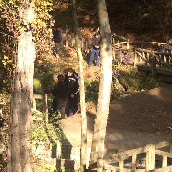 Plantación olmos ibéricos 8