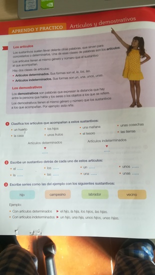 EJERCICIOS DE LOS ARTÍCULOS