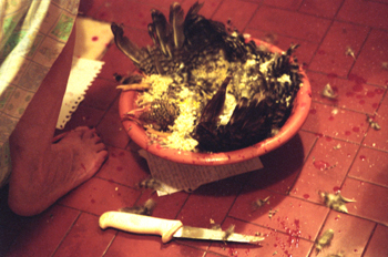 Candomblé, Sao Paulo, Brasil