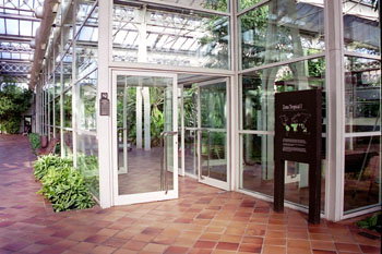 Interior de invernadero
