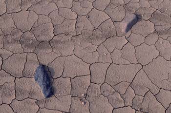 Huellas en un suelo seco