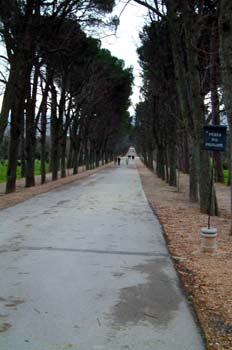 Paseo del Príncipe, El Escorial, Madrid