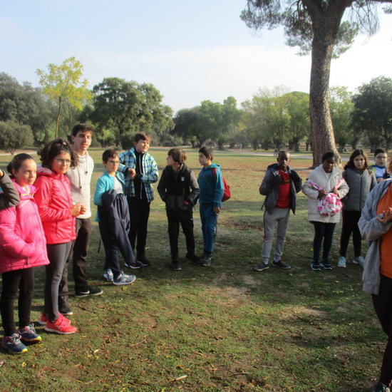 EN MÚLTIPLE 6º - 2019 20