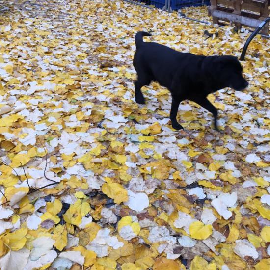 Jorge Mladenov 1AESO concurso fotografía Satafi foto 3