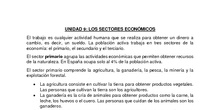 Los sectores económicos