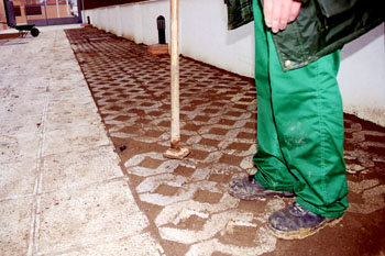 Preparación del suelo para plantación