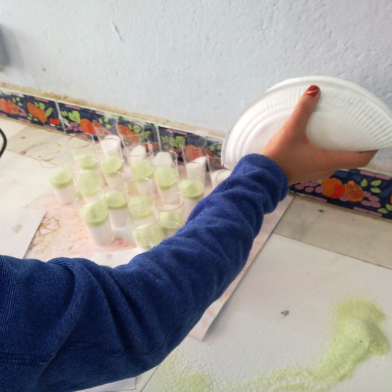 Infantil en la granja 7