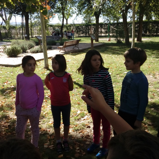 GRANJA SEPTIMA PARTE 39