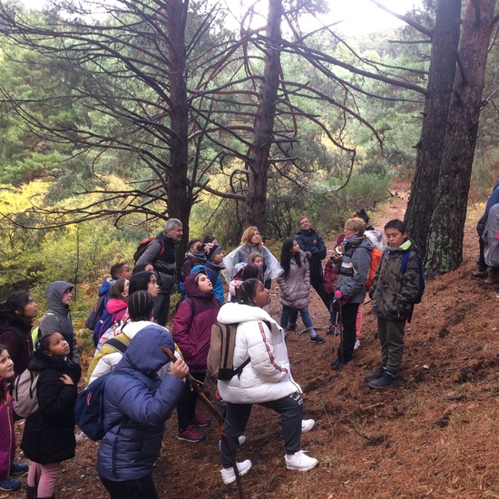 Excursión de tres días a Cercedilla 5º y 6º 20