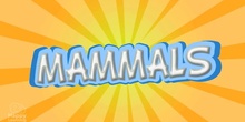 MAMMALS