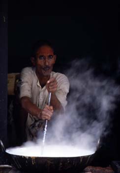 Hombre friendo masa, Pushkar, India