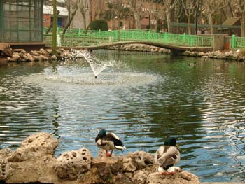 Parque la Alamedilla en Salamanca, Castilla y León