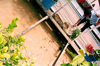 Piscifactoría en Siem Reap, Camboya