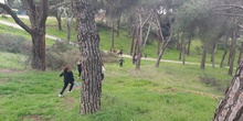 Salida aula de la Naturaleza Las Rozas