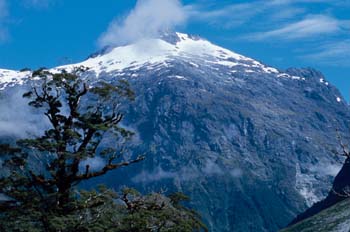 Parque nacional de Fiorland, Nueva Zelanda