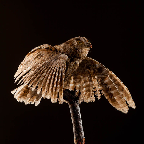 IES_ISABELLACATOLICA_BIOLOGIA_547