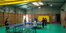 Madrid Comunidad deportiva: actividad de tenis de mesa