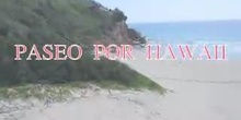 paseo por hawaii