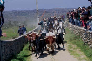 Encierro en la raya luso-española, Portugal