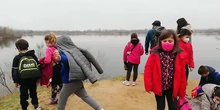Visit to the Velilla Lagoons 3ºB