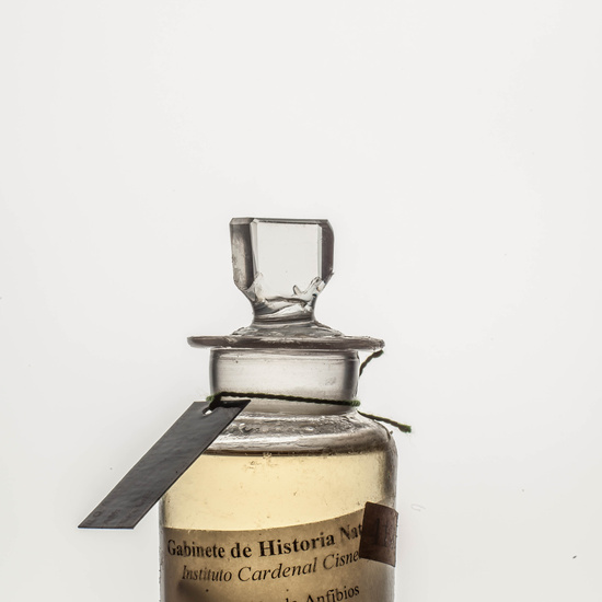 IES_CARDENALCISNEROS_CIENCIASNATURALES_216