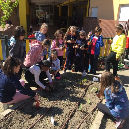 El año hortelano de 4º B 35