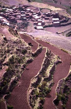 Terrazas en Ibb, Yemen
