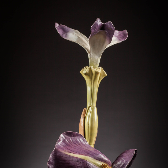 IES_SANISIDRO_MUSEO_Botanica_033