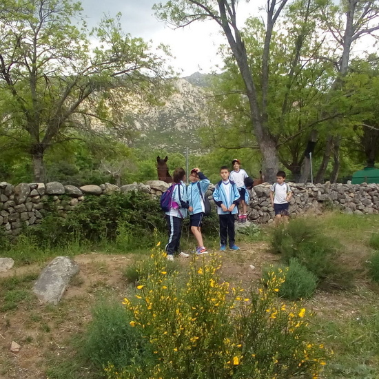 Camino de Santiago 3º EP 25