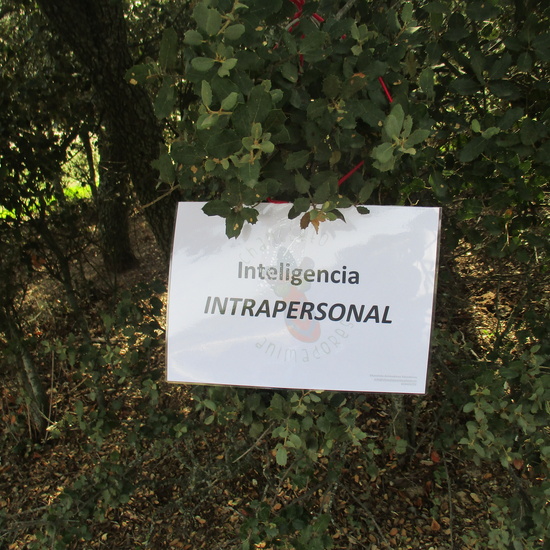 EN MÚLTIPLE 6º - 2019 (2ª Parte) 20